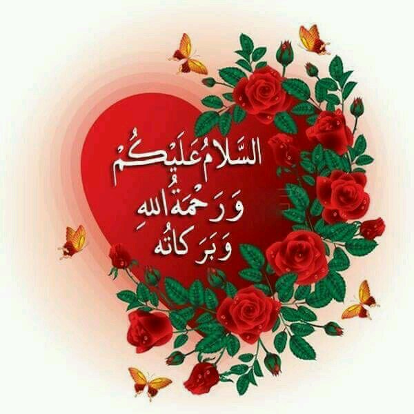 M.FAISAL SIDDIQUI